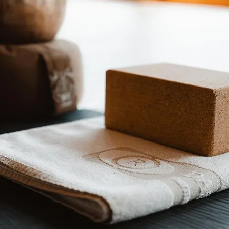 Ronacher Thermal Hotel